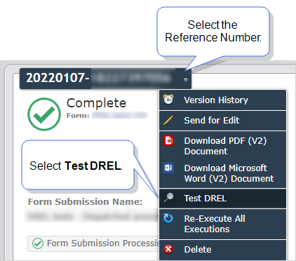 Select the Form Submission Reference Number, and then select Test DREL.