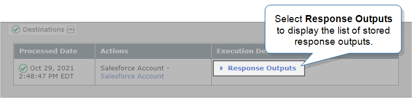 Select "Response Outputs" to view the response outputs for the selected form submission.