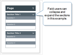 Form that shows a page with two sections. Field users can collapse and expand each section by selecting the arrows next to the section header (title).