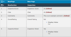 Form submission details showing edited answers