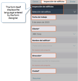 Inspection form that shows the page and section names, question text, and manually-defined answer options as entered by the form designer.