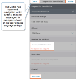 Inspection form that shows the Mobile App framework (navigation, action buttons, and error messages) in Spanish, specifically, "Cerrar", "Enviar", "Pulse para seleccionar", "Se requiere esta pregunta", and "Resumen".