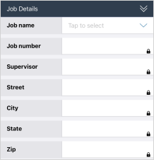 A Side-by-Side section labelled "Job Details" that is a list of seven questions. The two-column layout makes the section about 40% shorter than if it was a Regular Section.