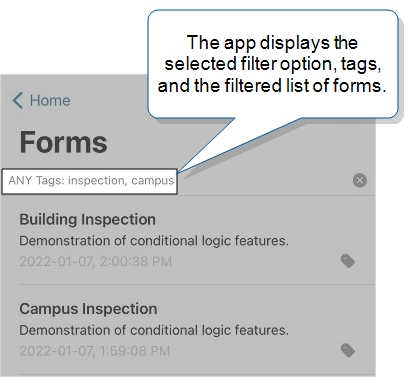 The app displays the filter options "ANY Tags: inspection, campus" and lists only forms that match one or more of the "campus" and "inspection" tags.