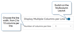 Regular Section settings that show the "Display Multiple Columns per Line" toggle and the "Number of columns per line" setting where you choose from 2 to 10 columns.