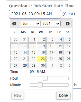 Date-Time selector menu in web portal form
