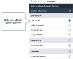 Radio Button list that shows four names with a selector next to each name. The options display in the main form, with other questions following.