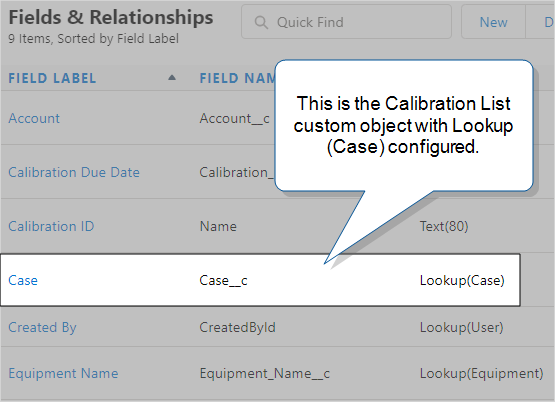 Calibration List custom object, Fields & Relationships view with a lookup to the Case object configured