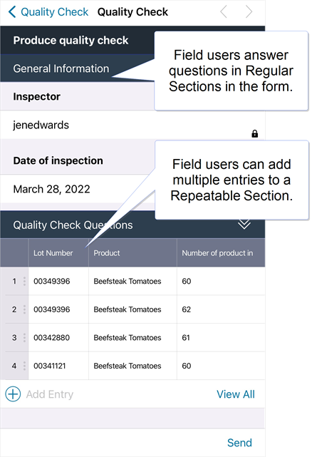 ProntoForms mobile app with questions in a regular section and a repeatable section. Field users answer questions in regular sections once, and they can add multiple entries to a repeatable section.