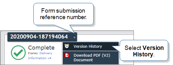 Form submission details for a complete form, showing the option to select the Version History