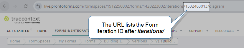 A Form Version ID highlighted in the URL.